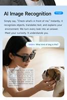 Gafas Inteligentes H03 con Cámara, Transmisión WiFi, Reproductor de Música, Traducción Telefónica, Resistencia al Agua IP65, Cámara Individual 1080P, Control por Aplicación, Nuevo