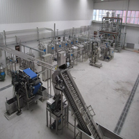 Automatische industriële kokoswater- en melkverwerkingslijn, apparatuur voor kokosproductie fabriek