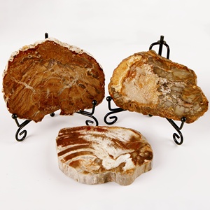 Wholesale Shammah Crystal Natural Petrified <b>Wood</b> <b>Slice</b> Slab Quartz Crystal Mineral Specimen Healing Feng Shui Polished - Product Image 2