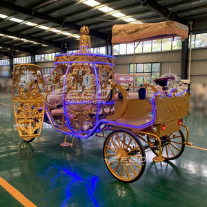 Véhicules de luxe pour attractions touristiques : Chariot de mariage citrouille, Chariot de tourisme électrique, Chariot à chevaux, Chariot citrouille royal à vendre - Product Image 5