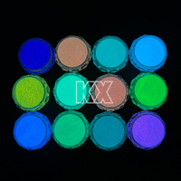 Glow in the Dark Party Supplies Glow in the Black Light Dark Face Body Paint Neon Fluorescent Phosphorescent Glow Powder