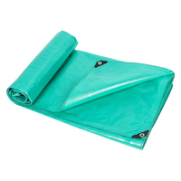 Bâche PE Vierge 100% Imperméable OEM, Prix Usine