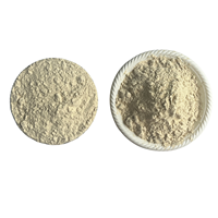 Protéine de levure de qualité alimentaire F80EC, stable thermiquement, saveur neutre, pour la pâtisserie, les produits carnés et la formulation de boissons