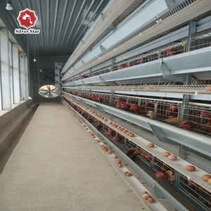 Bán Lồng Nuôi Gà Đẻ Trứng Chuyên Nghiệp Loại H Cho Gia Cầm Trang Trại Lồng Nuôi Gà - Product Image 3