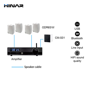 Sistema de Música Ambiental Inteligente para el Hogar con 4 Altavoces y 1 Amplificador de Dos Zonas - Product Image 5