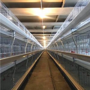 Livi un tipo di nuovo Design gabbia di pollame fattoria Design manuale gabbia di pollo - Product Image 6