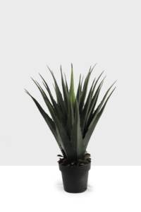 Planta Artificial de <span class=keywords><strong>Agave</strong></span> con Púas de Plástico de 80 cm, para Interiores y Exteriores, 26 Hojas, 10 Años de Duración, Ecológica, Pequeña, para Suelo - Product Image 2