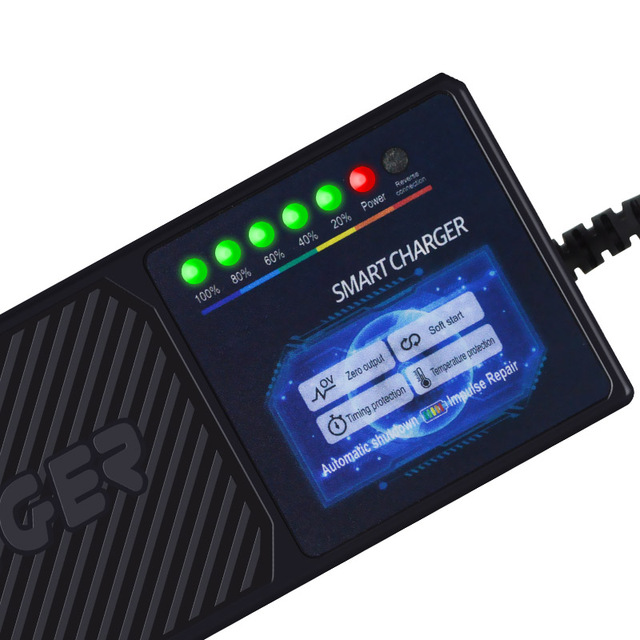High Quality 60V20Ah Electric Scooter Bike Lead Acid Charger Factory Price Rrse Polarity Protection Anti-Rrse EU Socket Standard