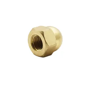 SS Round Head Nut Brass Nut One Thick Cover Brass Seal Nut