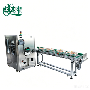 เครื่องตรวจสอบด้วยระบบ AI สำหรับบรรจุภัณฑ์ไข่ พร้อมระบบคัดแยกไข่อัตโนมัติที่มีฉลากที่ลบเลือนหรือพิมพ์ผิดพลาด - Product Image 6