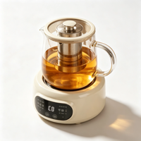 Bouilloire Électrique Multifonctionnelle 500ml à Succès Commercial, 6 Modes de Cuisson, Maintien au Chaud 24H, Bouteille en Verre, Filtre 304 pour Maison et Bureau