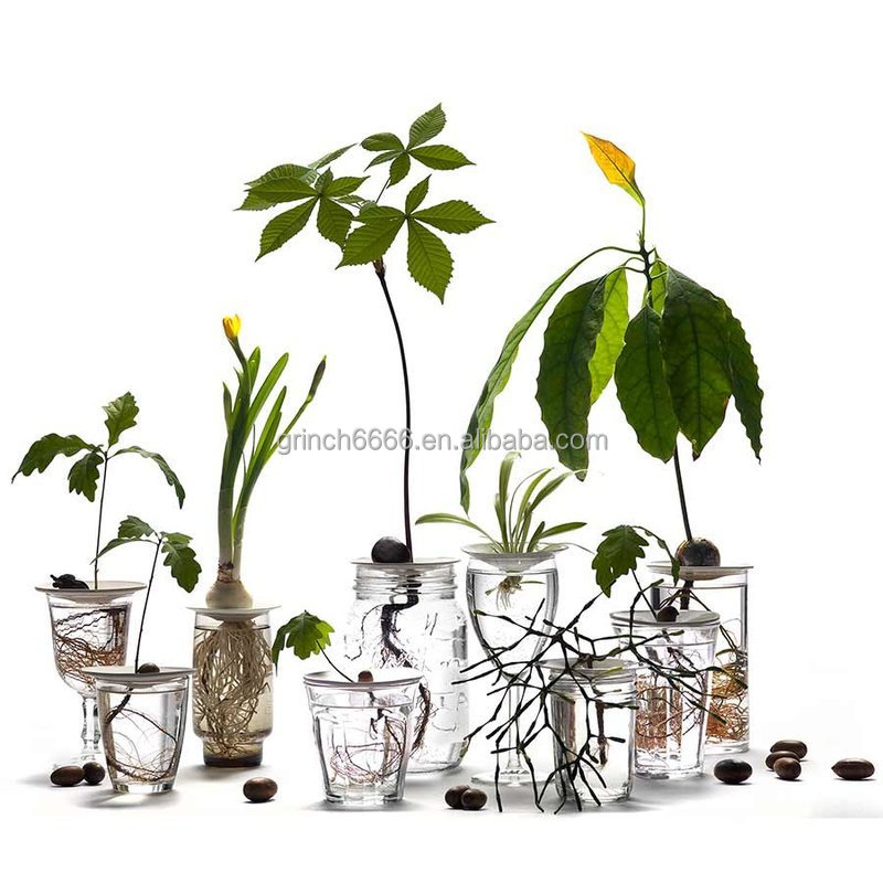 50 vasi organici in set – Vasi per seme e talee – Vaso da fiori