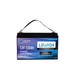 Lifepo4 120ah Battery Longer Lifespan RV Boat Marine Solar 4000 Cycles Lifepo4 Pack 12v 100Ah 120ah 200Ah Lithium Battery