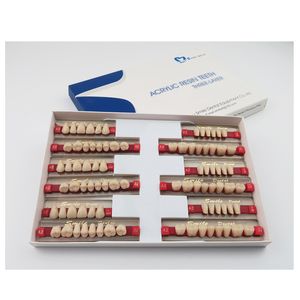 Dentiera dentale in resina sintetica a 3 strati in acrilico con denti finti bocca piena - Product Image 1