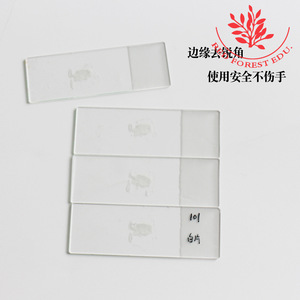 Portaobjetos biológicos, investigación científica, immunología, portaprobos de patología, portaprobos de vidrio, experimentos de inmunohistoquímica, patología - Product Image 5