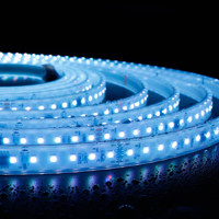 Tira de Luces LED RGB para Automóvil de 12V/24V CC, WS2811 WS2812B DMX, Direccionable, Programable, Flexible, Impermeable, con Control por Voz, de Fábrica China