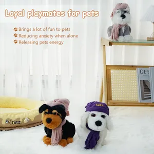 Wholesale New Arrivals Dog Toys Pet Accessories Eco Anxiety Custom China Pet Sex Toy For Dog