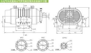 Bomba de Vacío de Tipo Roots Refrigerada por Gas de Servicio Pesado Serie ZJQ para Metalurgia y Evacuación Rápida de Productos Químicos con Descarga Directa a la Atmósfera - Product Image 2