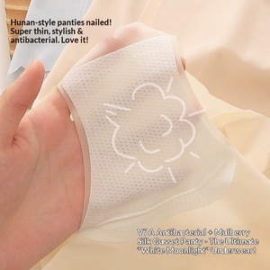 Intimo Ricamato Trasparente in Seta Ghiaccio da Donna, Sensazione Nuda, con Apertura Intima Antibatterica in Seta di Gelso, Modello Unico a Vita Media - Product Image 3