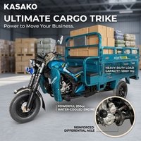 Motocyclette cargo à essence à 3 roues, capacité de charge de 400 kg, conception de fret ouvert, vitesse de 50 à 70 km/h pour service de livraison commercial