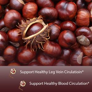 Suplemento de Castaño de Indias Extra Fuerte OEM/ODM, Extracto 10:1, 3000 Mg, 20% Aescinas, Apoya la Circulación Sanguínea y las Venas de las Piernas - Product Image 3