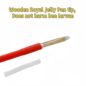 10 Piezas de Agujas de Injerto de <span class=keywords><strong>Reina</strong></span> Nuevas con <span class=keywords><strong>Punta</strong></span> de Madera para Apicultor, Equipo de Apicultura, Herramienta de Injerto de <span class=keywords><strong>Reina</strong></span> - Product Image 3