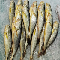 Machine à glaçons en acier inoxydable 304 pour poisson, fruits de mer, poulpe, croaker jaune, pomfret avec bac de stockage de glace