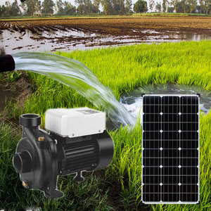 Pompe solaire en fonte du fabricant pour l'irrigation agricole, grande capacité, pompes à eau immergées et de surface pour puits profonds - Product Image 6