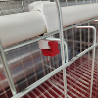 Cages à poules pondeuses galvanisées de type A Samzou, cages de batterie pour poulets, cages d'élevage pour poules pondeuses à vendre