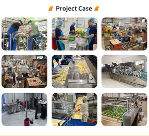 Shepody corong daging Gas terus menerus komersial kue Taco Henny <span class=keywords><strong>Penny</strong></span> penggorengan tekanan dalam - Product Image 2