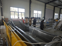 Productielijn voor het weken, wassen, sorteren en luchtdrogen van lotuswortel, gember en taro voor de voorbewerking van diepvriesfruit en -groenten in een fabriek.