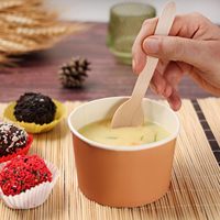 Lot de 100 cuillères en bois jetables, sans éclats, biodégradables, couverts compostables pour l'extérieur