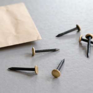 TOX Picture <b>nail</b> Home Classic with <b>brass</b> head 2.0 x 50 mm - Product Image 3