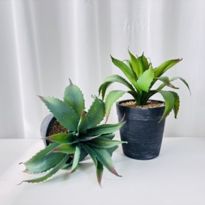 Maceta de Plástico con Imitación Realista de Aloe <span class=keywords><strong>Vera</strong></span>, Planta <span class=keywords><strong>en</strong></span> Maceta para el Día de San Valentín, Decoración de Mesa para el Hogar, Arreglo de Vegetación Verde - Product Image 4