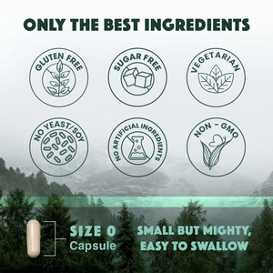 Extracto de Magnesio Triple Calm de Alta Potencia, 120 Cápsulas, Apoya la Salud Muscular y Nerviosa, Cápsulas de Magnesio Triple Calm - Product Image 5