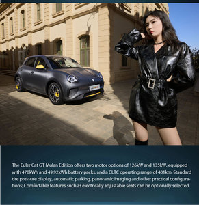 Auto Eléctrico <span class=keywords><strong>Chino</strong></span> Ora Funky Cat GT 2025 Edición <span class=keywords><strong>Mulan</strong></span> 430km Modelo de Lujo Totalmente Eléctrico 171 Caballos de Fuerza Auto Pequeño Nuevo Auto Eléctrico - Product Image 2