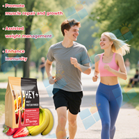 SUNI Sports Nutrition Isolat de Protéine de Lactosérum 90% Fraise – Vente en Gros de Poudre de Protéine de Lactosérum, Suppléments de Gym, Gainer de Masse Musculaire en Vrac
