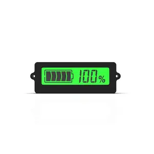 12V 24V 36V 48V Lood-zuur Batterij LY6N Verzonken Batterij Capaciteit Indicator Tester Voltmeter Batterij lading Indicator