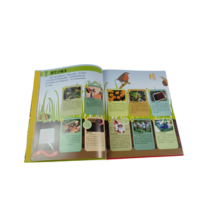 หนังสือเด็กปกแข็งพิมพ์สีตามสั่ง สำหรับการศึกษา <span class=keywords><strong>ภาษา</strong></span>อังกฤษ พร้อมปกเคลือบอย่างดี - Product Image 5