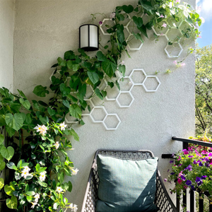 Treillis <span class=keywords><strong>mural</strong></span> en métal hexagonal <span class=keywords><strong>pour</strong></span> plantes grimpantes Petit jardin Design intérieur extérieur <span class=keywords><strong>pour</strong></span> une utilisation suspendue - Product Image 2