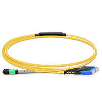 10G 100G OM3 8 ~ 24 Core Trunk Cable MTP Optique MPO MDC Fiber Optique Patch Cord