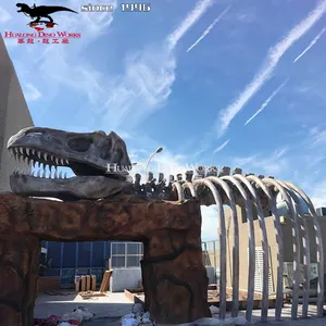 Dinosaur park high simulation dinosaur bones