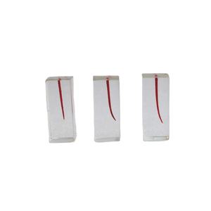 Modelo de Raíz Dental Educativo para Ciencias Médicas, Modelo de Enseñanza de Implantes Dentales con Dientes para Educación Dental - Product Image 3