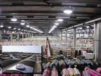 Système de lumière naturelle tubulaire à économie d'énergie, tube solaire, puits de lumière avec diffuseur en polycarbonate pour toitures résidentielles et commerciales