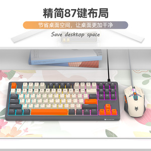 Shiny Fox K600 Wired Keyboard Mouse Set 87 Keys Rainbow Backlight Tri Color <b>Keycaps</b> Office Business Use - Product Image 2