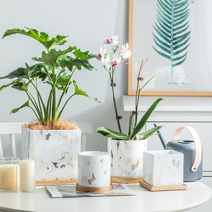 Maceta de orquídeas y mariposa nórdica, cerámica creativa de lujo, <span class=keywords><strong>con</strong></span> bandeja, gran oferta - Product Image 4