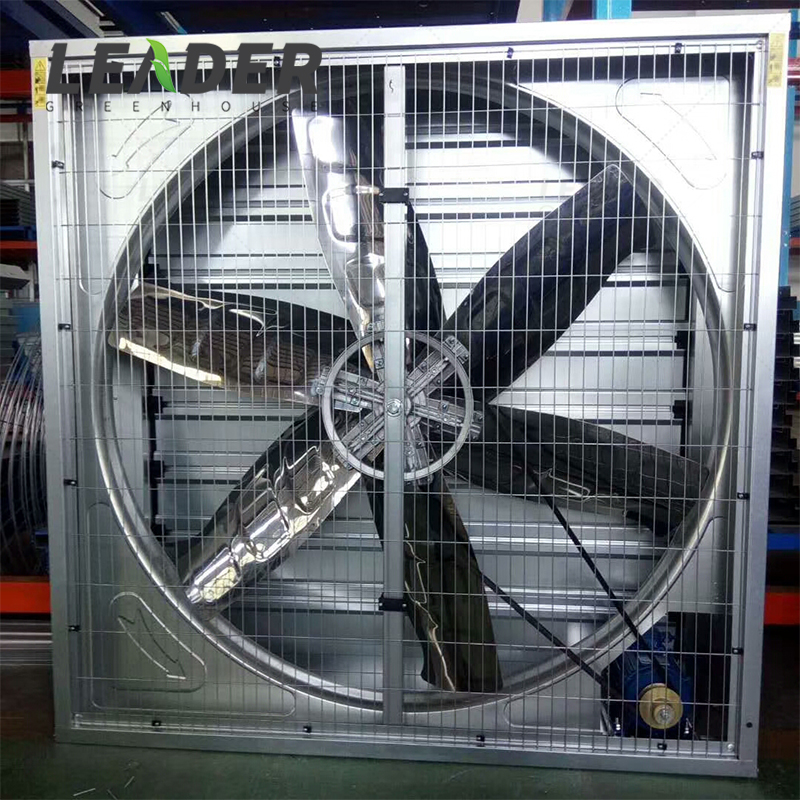 Poultry Greenhouse Ventilation System Three Phase Belt Driven Wall Mounted air Cooling Heavy Hammer Exhaust Fan with Shutter