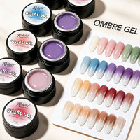 Robifel Vente en Gros Pat Pat Gel Nail Art Painting Gel Effet Blush Éponge Ombre 3D Semi-Solide UV LED OEM Marque Privée Usine