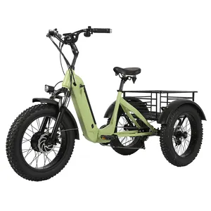 Gonped bici elettrica Trike elettrica di alta qualità 20 pollici Fat Tire 500 w Cargo Bike Display LCD 48V 3 ruote 500 Watt motore aperto