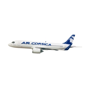 Modèle d'avion en résine A320 <span class=keywords><strong>Neo</strong></span> de haute qualité, fait sur mesure, 37 cm, modèle d'avion Airbus <span class=keywords><strong>320</strong></span>, échelle 1/100, cadeau promotionnel à vendre - Product Image 6